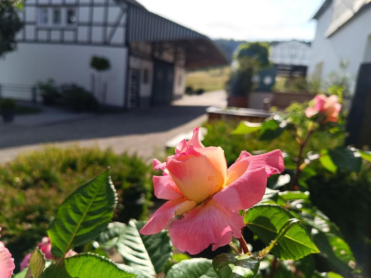 Kleine Auszeit Leilighet Eslohe Eksteriør bilde